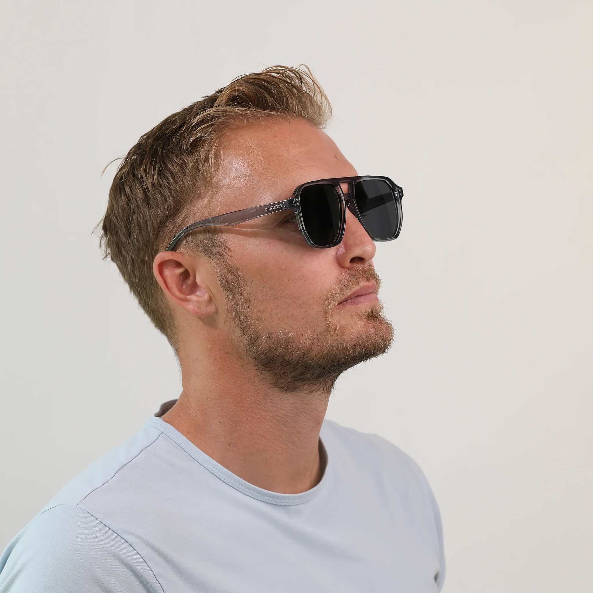 Navigator Sunglasses